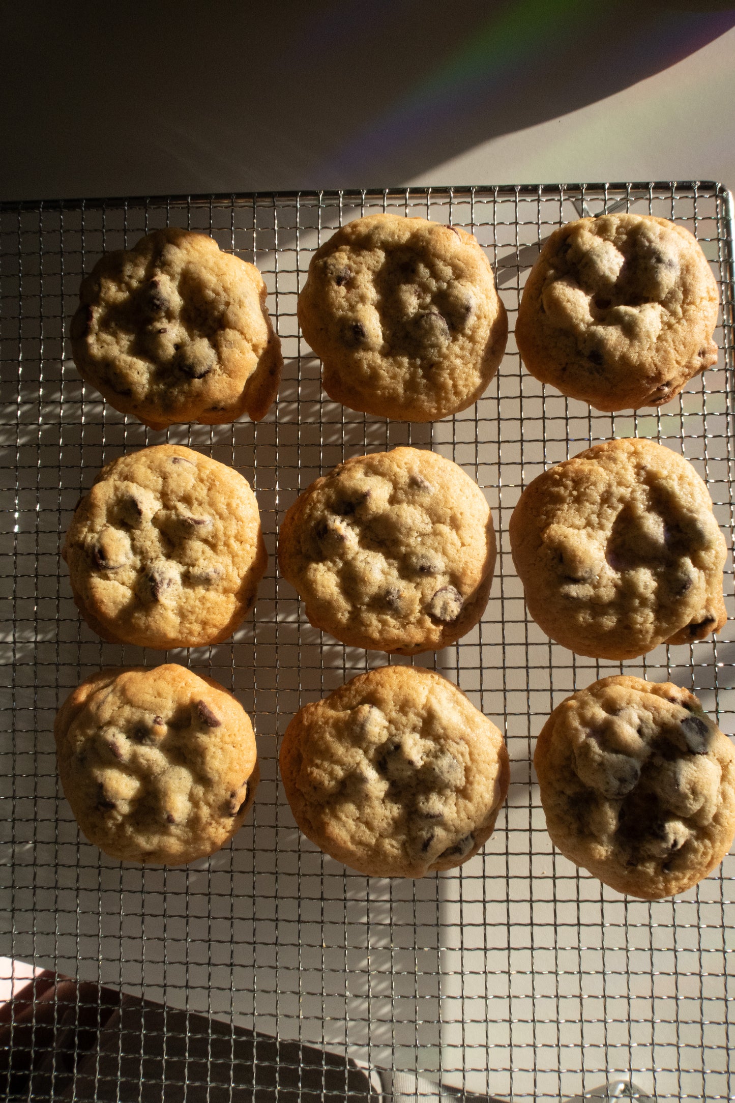 Chocolate Chip Cookies